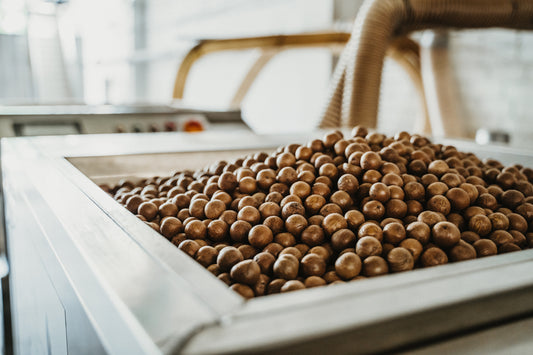 photo of brown, round macadamia nuts