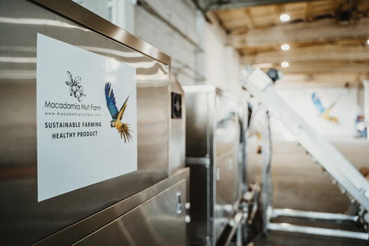 Videi draudzīgāk: gardie makadāmijas rieksti